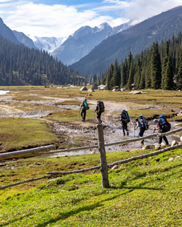Group of hikers in Tien Shan mountains, central asia, Kyrgyzstan.